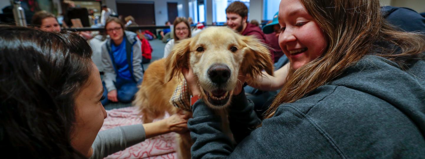 Happy group of students interacting with a therapy dog 