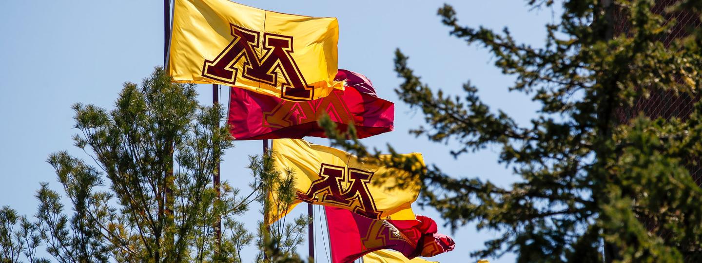 Maroon and gold flags with the block M logo on them.