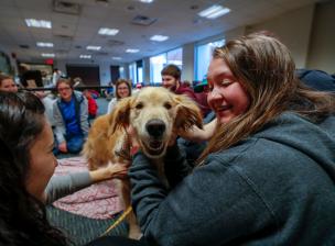 Happy group of students interacting with a therapy dog 