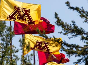 Maroon and gold flags with the block M logo on them.