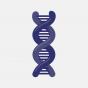 Biology House LLC - icon of a double-helix strand of DNA